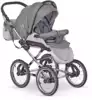 Коляска ZIPY classic 2в1 d14 VERDI