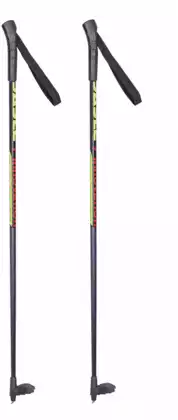 Палки лыжные 110 см
