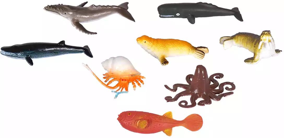 Красивые морские животные - фото онлайн на витамин-п-байкальский.рф