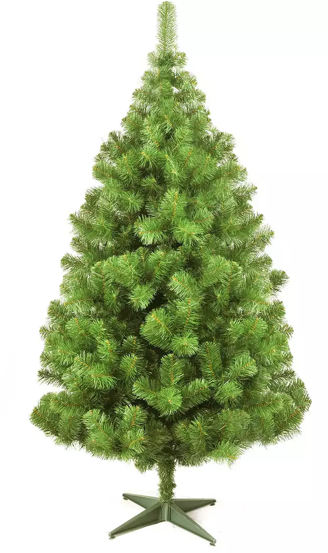 Ель Алтайская Россия