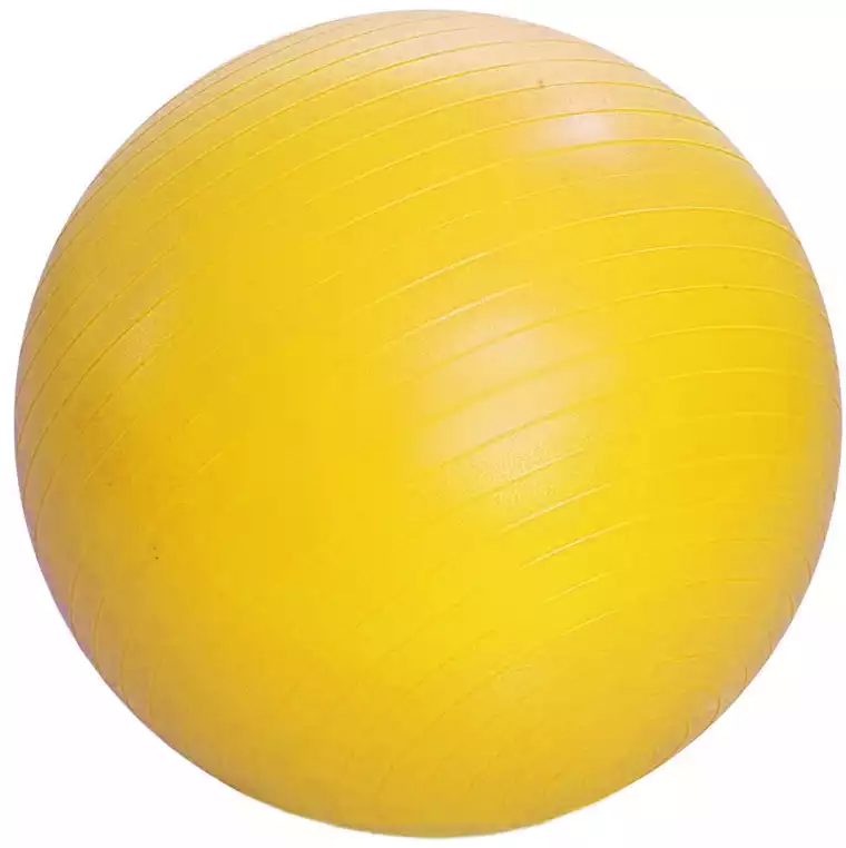 Мяч гимнастический 65 см,нагрузка до 100 кг.