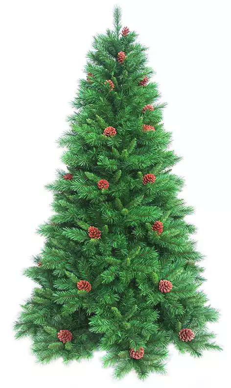 Ель Софи с шишками