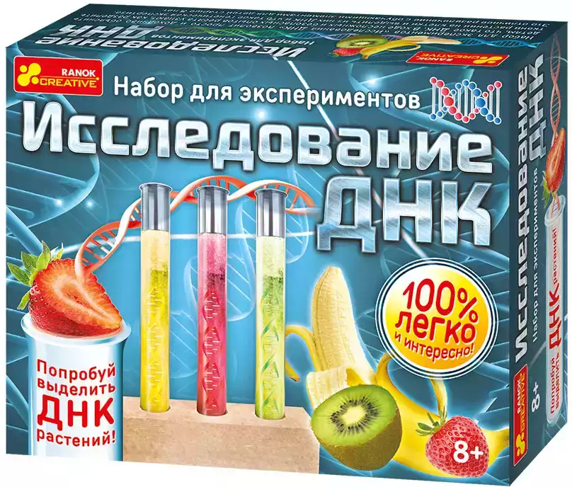 Набор для экспериментов Исследование ДНК 12114089Р