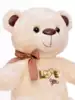 Мягкая игрушка Медведь Жуль 45 см BL70223-2B
