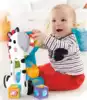 Игрушка Зебра с волшебными кубиками CGN63 Fisher-Price