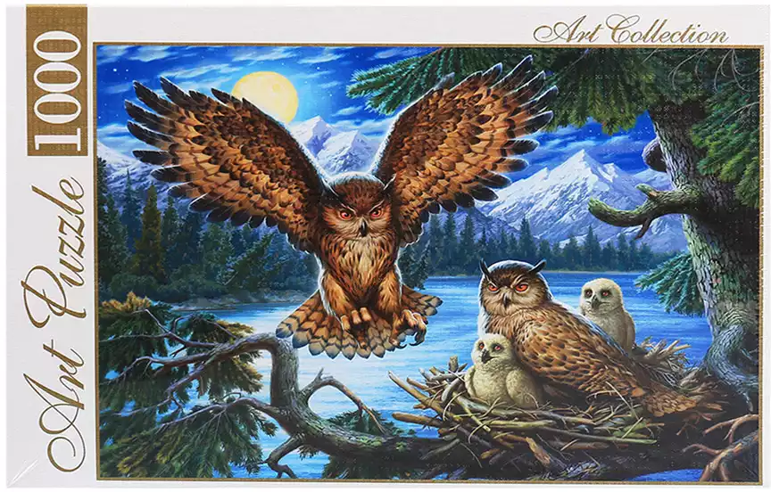 Пазл 1000 эл. Совы и лунное озеро ХАП1000-4443 Рыжий кот