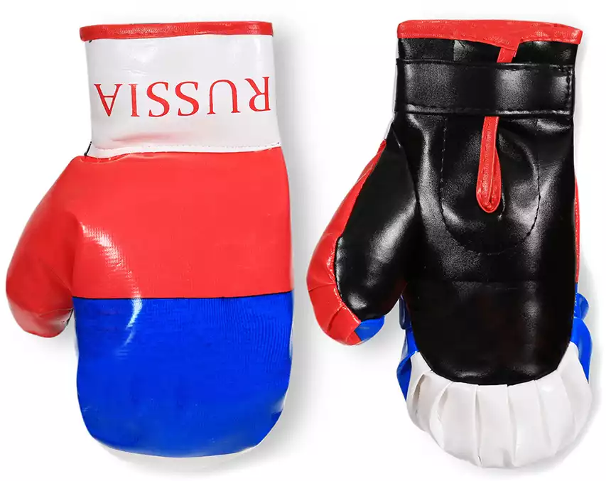 Набор для бокса RUS02S Перчатки