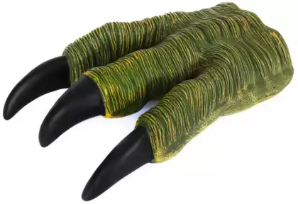 Когти (лапа) динозавра Q9899-590-2