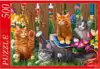 Пазл 500 эл. Котята Мейн-кун Ф500-5143 Рыжий Кот