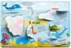 Книга Животные 12 стр 9785436604411 Волшебные окошки Робинс