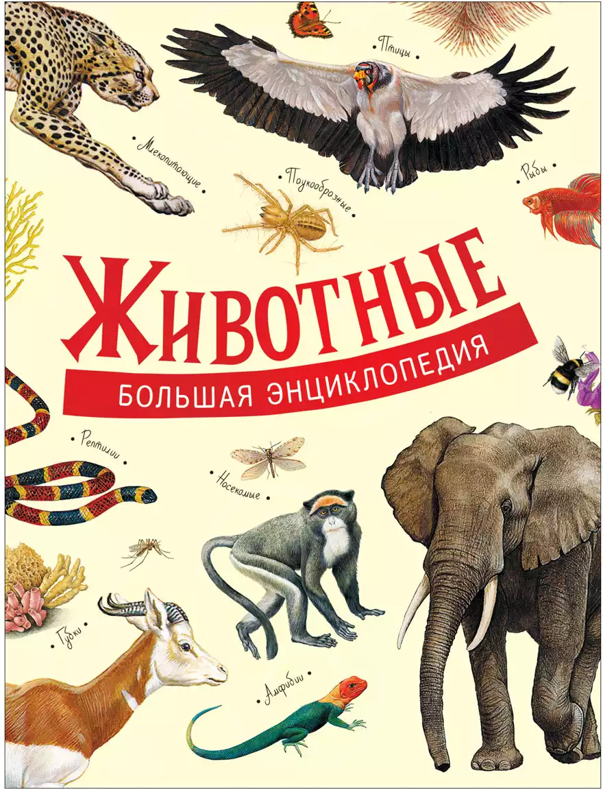 Книга Животные Большая энциклопедия Д. А. Литвинова 240 стр 9785353092681