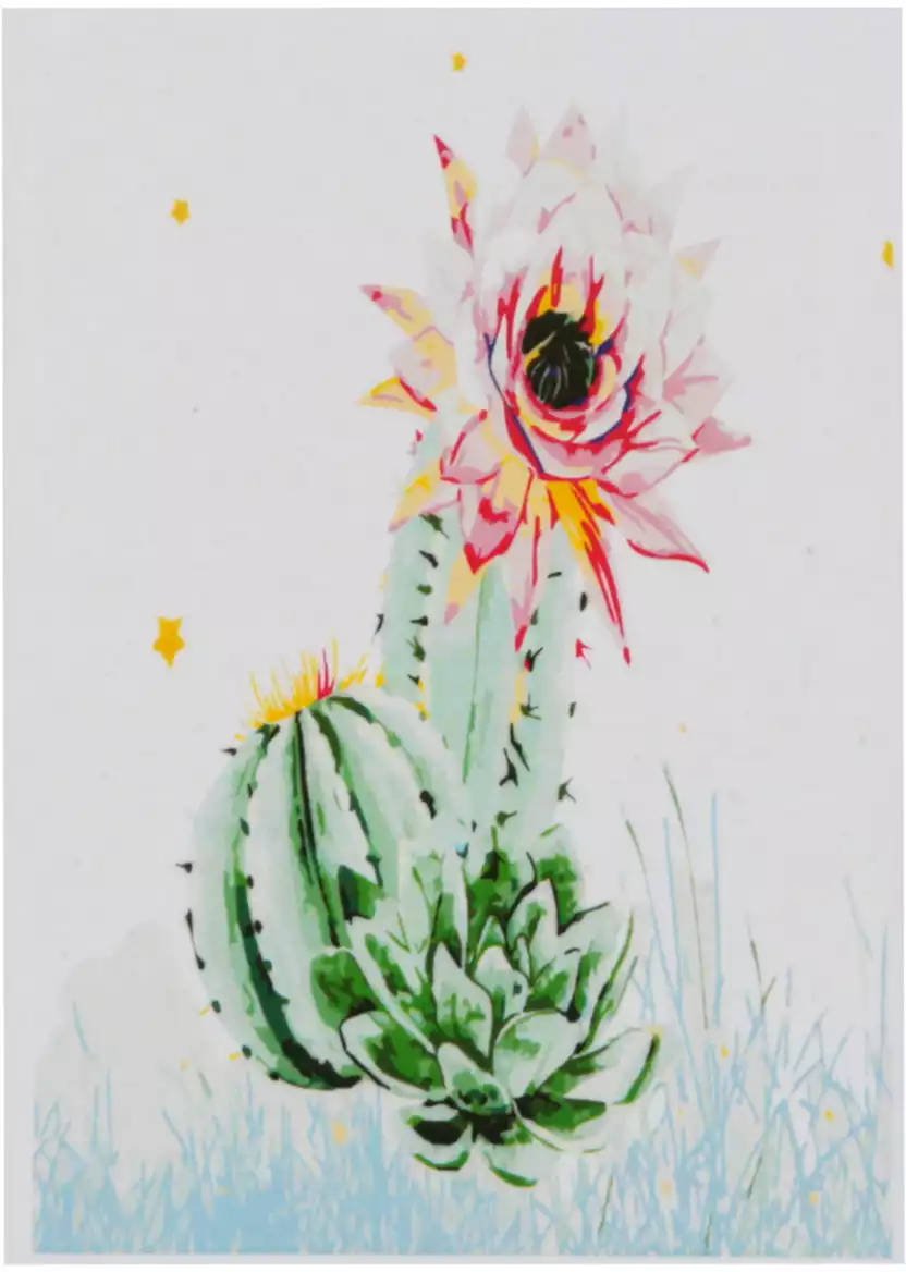 Раскрашивание на холсте 30*40 по номерам Х-3723 Цветущий кактус