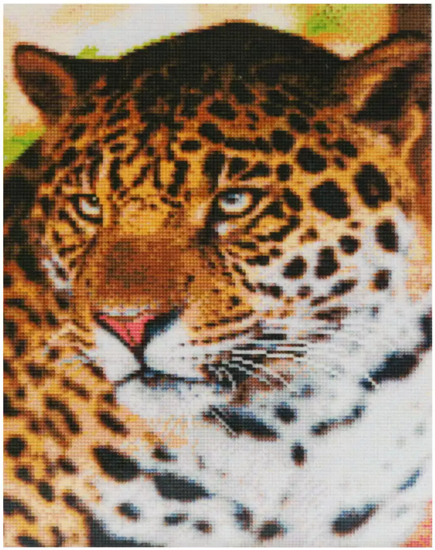 Алмазная мозаика 40*50 AC4063 Красивый леопард 28цв. с подрамником