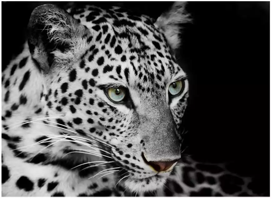 Пазл 1500 эл.Дикая кошка П1500-4125 Рыжий Кот