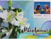 Рисование по номерам 30*40 31228 Мосты Питера