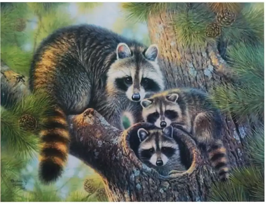 Рисование по номерам 30*40 31315 Семья енотов