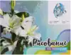 Рисование по номерам 30*40 30018 Лошадь. Поп-арт