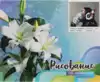 Рисование по номерам 40*50 30133 Обезьяна в наушниках