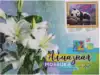 Алмазная мозаика 30*40 LT0636 Панда