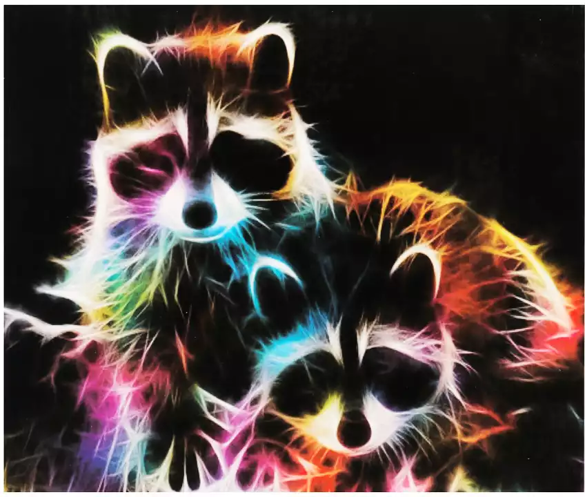 Алмазная мозаика 40*50 GA71103 Светящиеся еноты