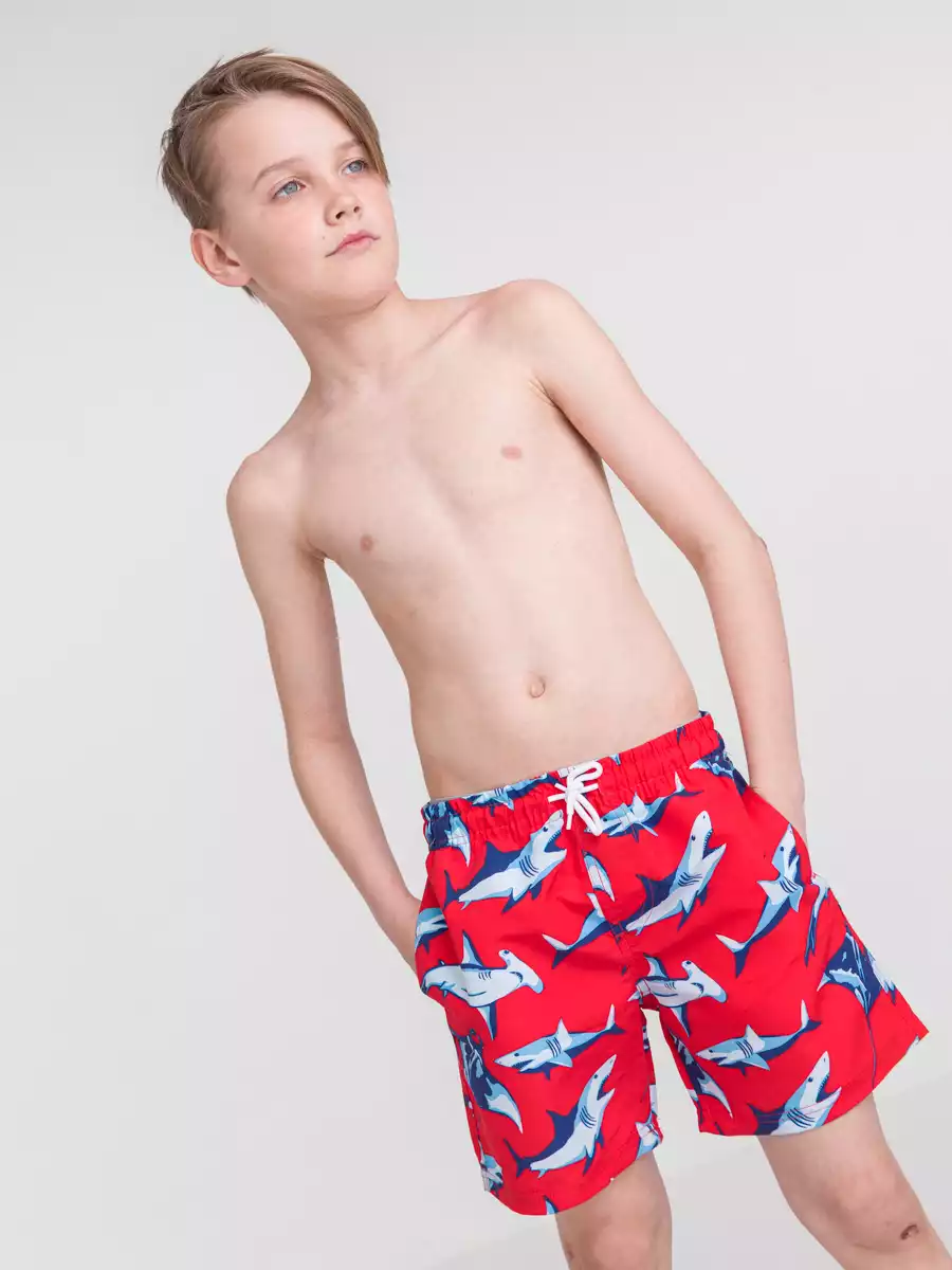 Плавки купальные для мальчика Vulpes 058D-882D