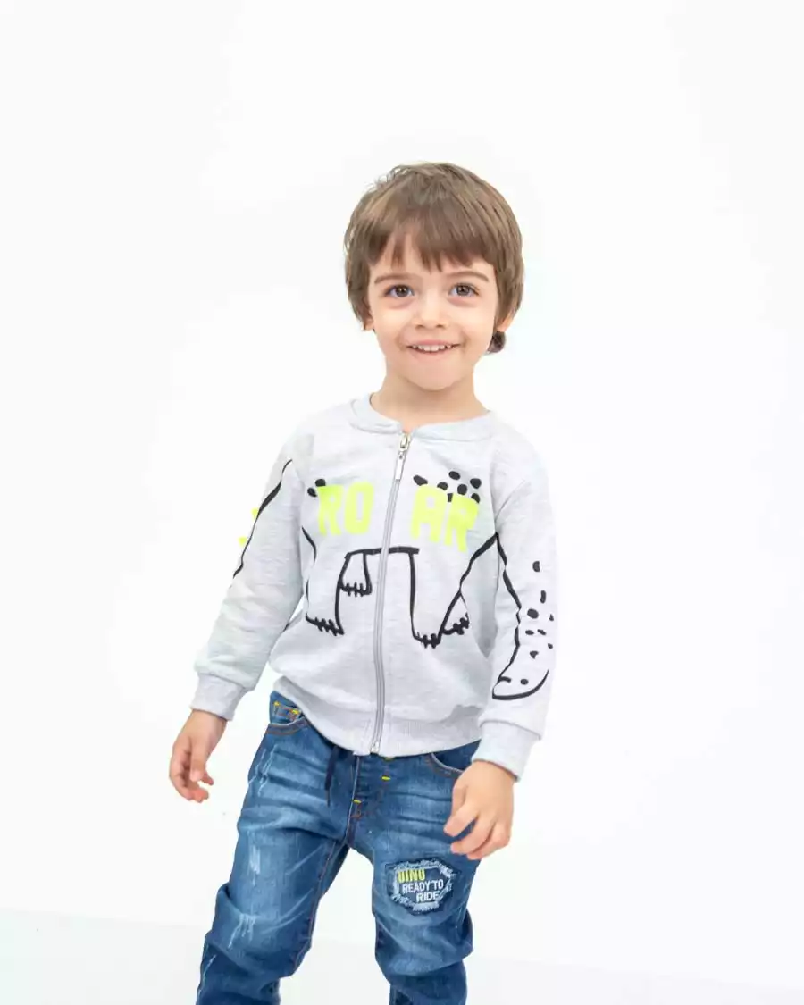 Толстовка RF161-T-LPE Vulpes