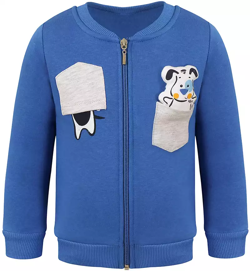 Толстовка RF162-T-LPE Vulpes