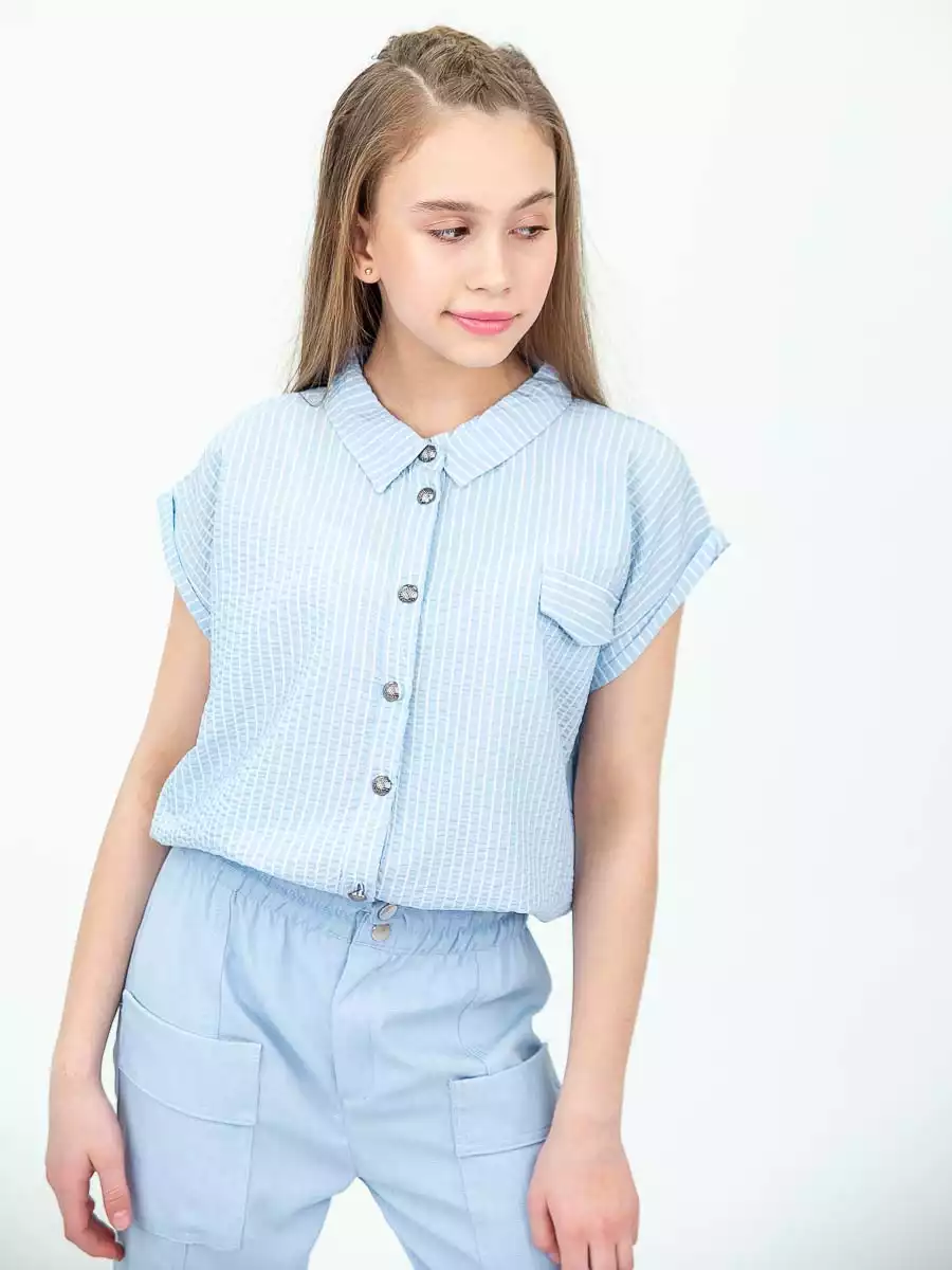 Блуза  751 Vulpes