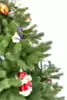 Ель Лазурита Россия