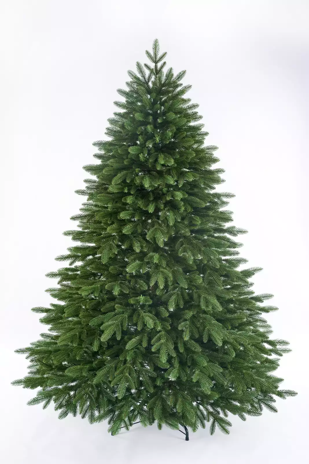 Ель Аилита Россия