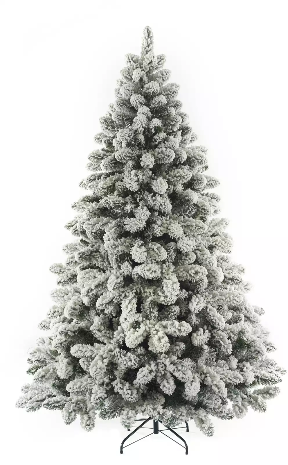 Ель Мидея Россия