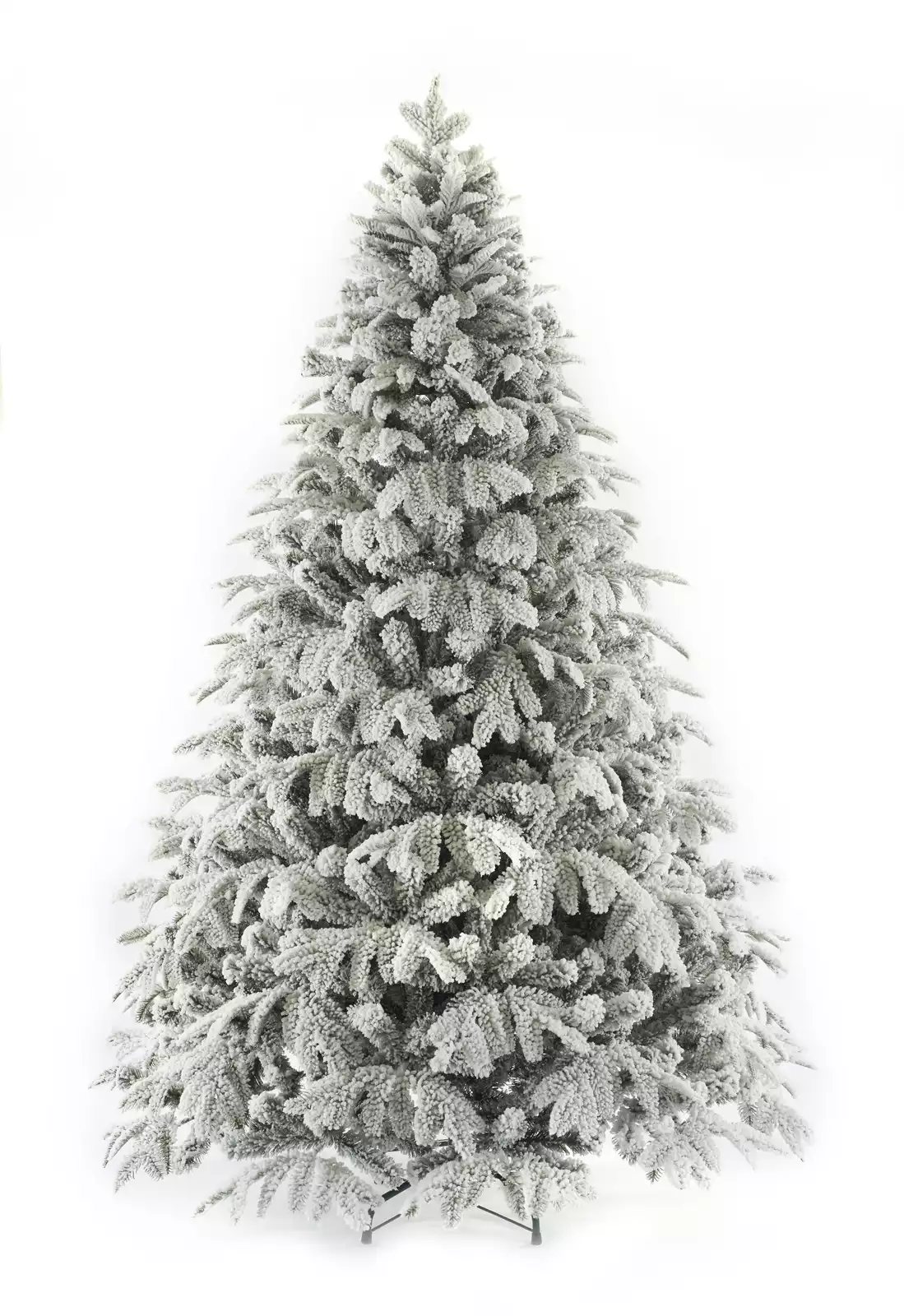 Ель Дакота Россия