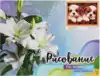 Рисование по номерам 30*40 MS8891 Щенки