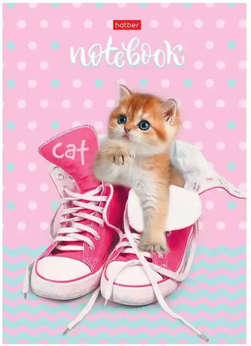 Записная книжка 80л А5 Котик в кедах
