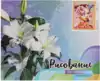 Рисование по номерам 40*50 MS7487 И пусть весь мир подождёт