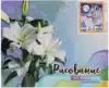 Рисование по номерам 40*50 MS7579 Наедине