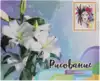 Рисование по номерам 40*50 MS7584 Львиное настроение