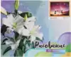 Рисование по номерам 40*50 MS7812 История о любви
