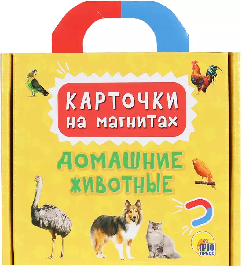 Карточки на магнитах Домашние животные