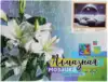 Алмазная мозаика 30*40 FZ0284 По ту сторону планеты