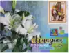 Алмазная мозаика 30*40 YSH326 Ищу друга