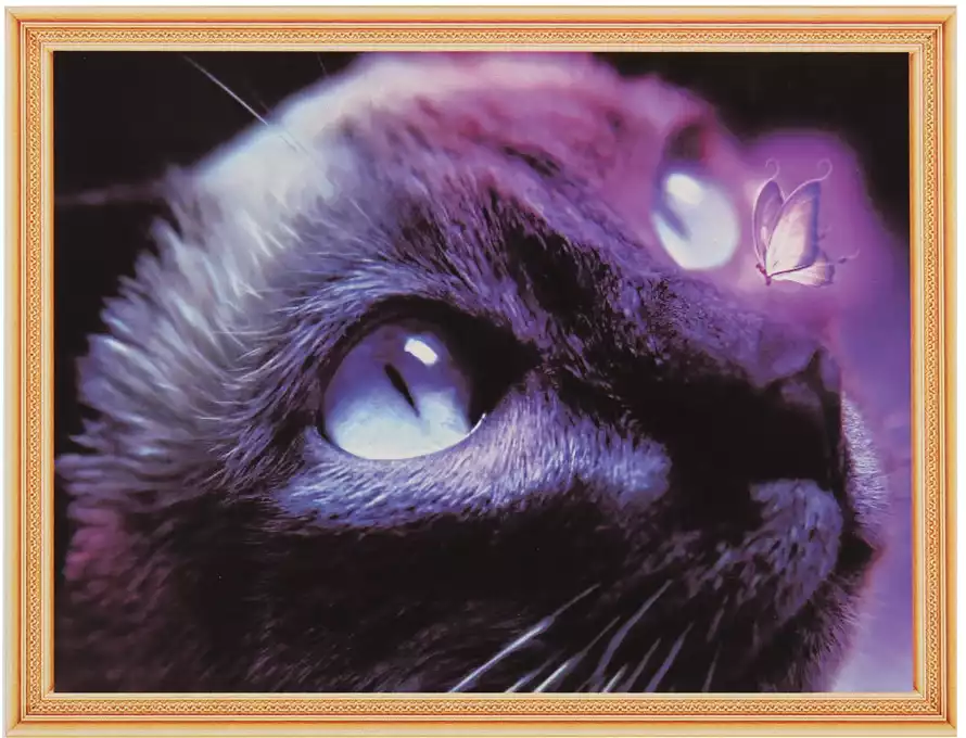 Алмазная мозаика 40*50 FZ0291 Прелестный котик