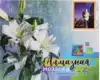 Алмазная мозаика 40*50 YSH623 С высоты птичьего полёта
