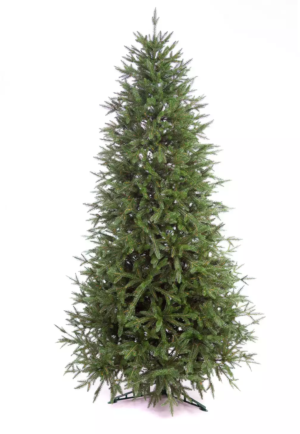 Ель Стандарт Россия