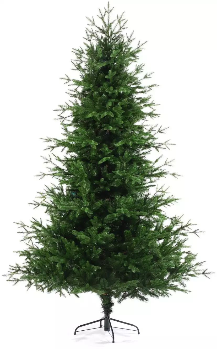 Ель Aurura Россия