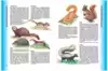 Книга Большая энциклопедия животных 224 стр 9786177131327