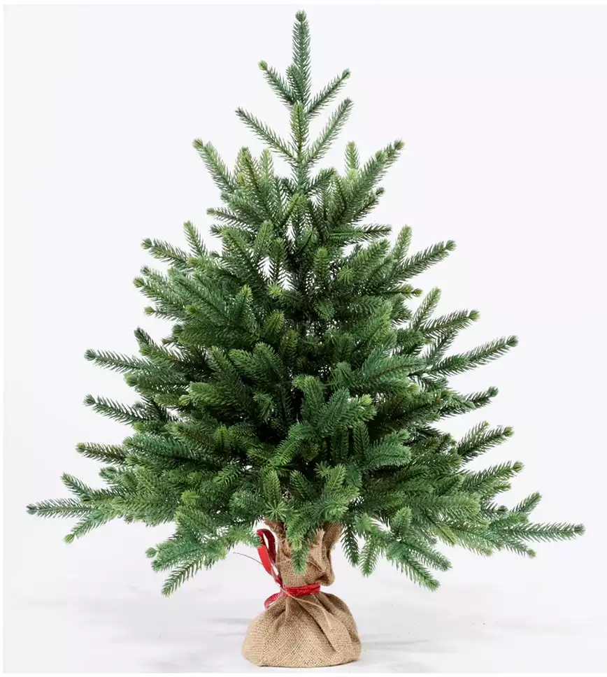 Ель Galaxy Россия