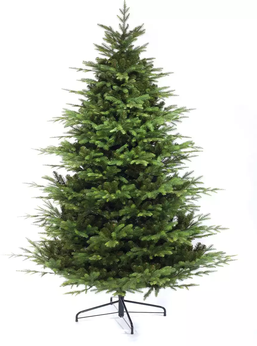 Ель Diana Россия