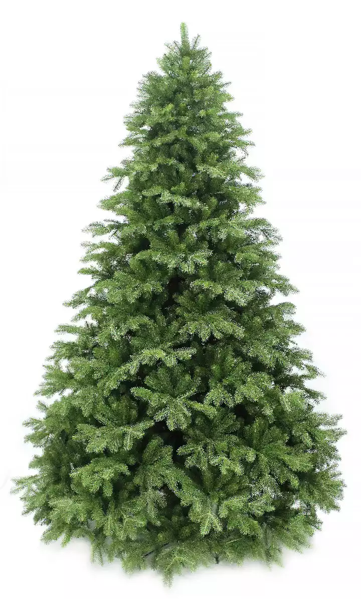 Ель Звездная Россия