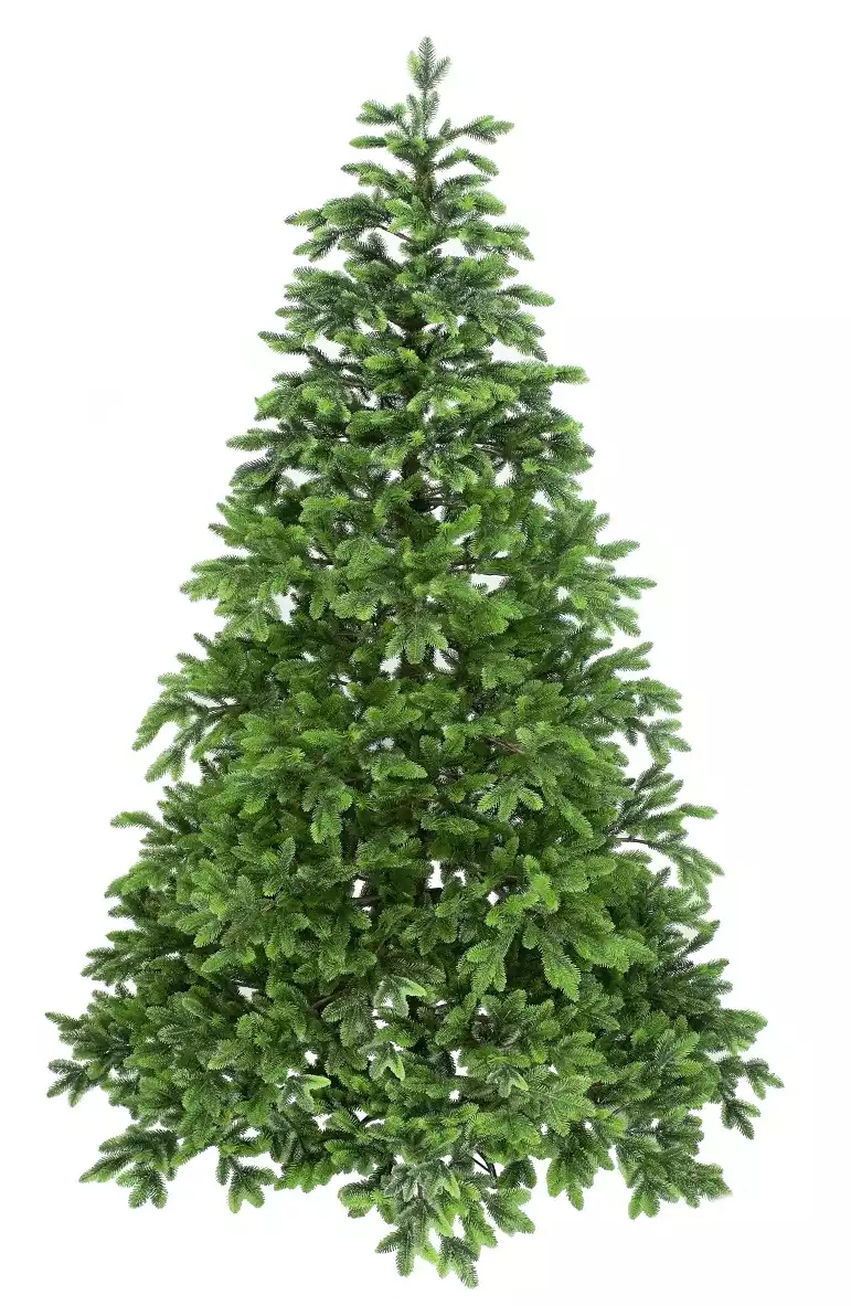 Ель Метелица Россия